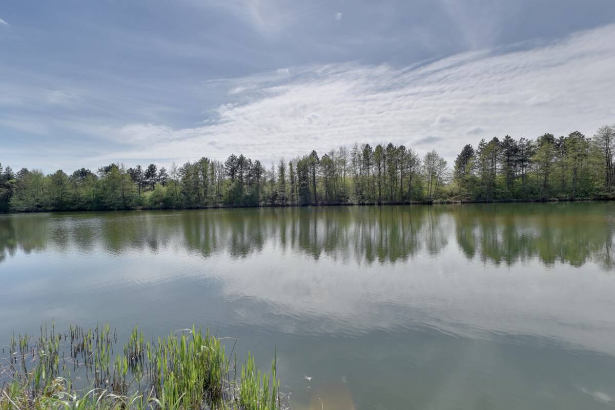Un second poste de pêche de l'étang Orchard