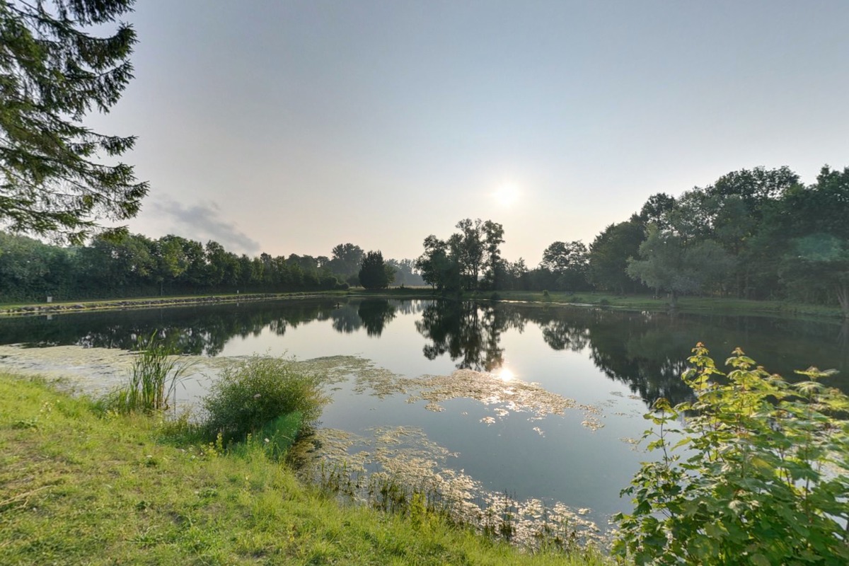 De meervalvijver van het Domaine de Kiesbruck
