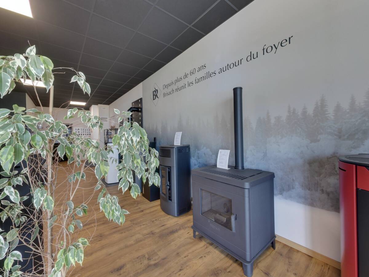 Stoves on display in front of the forest mural at the Brisach showroom in Courbépine