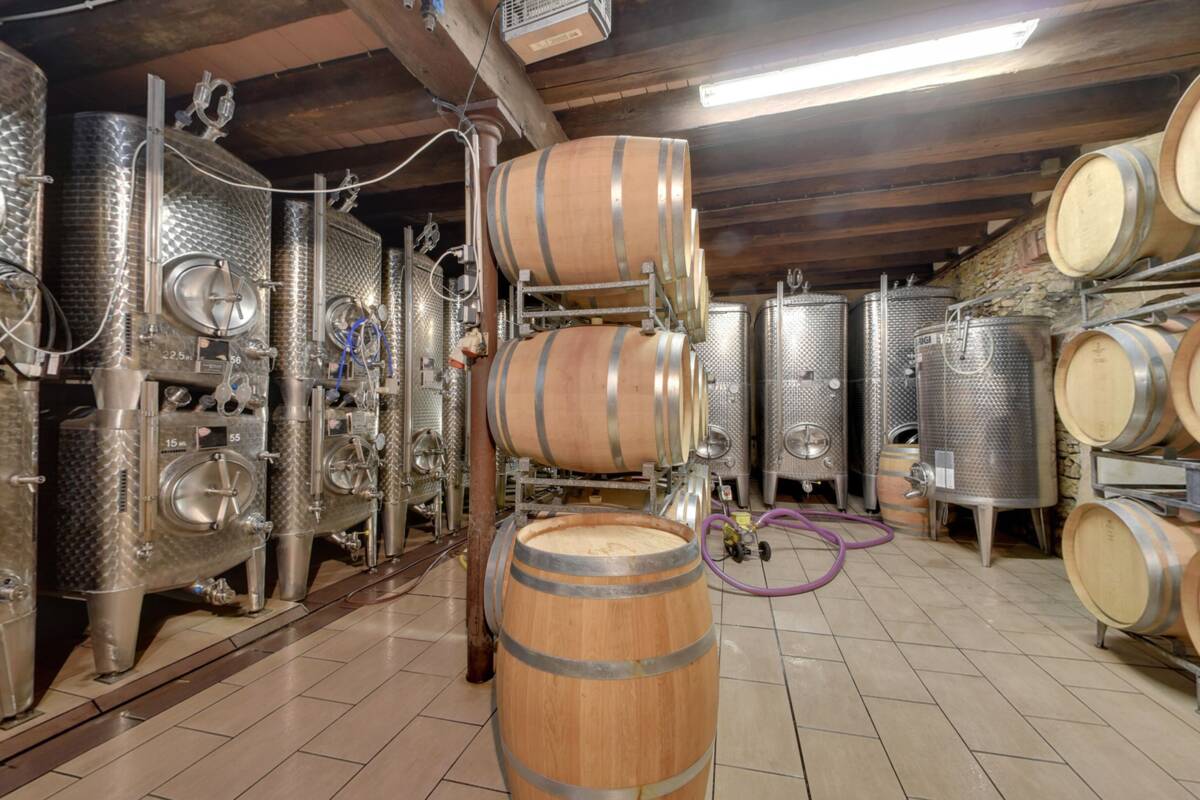 Extérieur et vignoble du Domaine Gilg